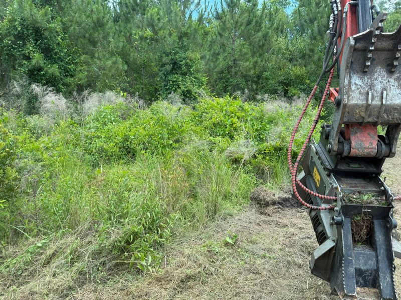 Land Clearing