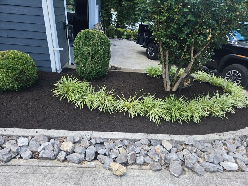 Shrub Trimming