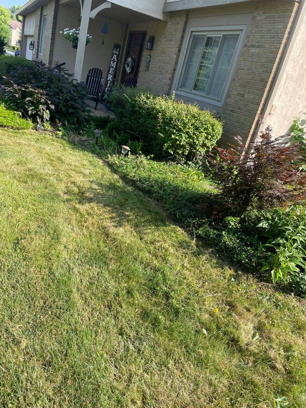 Lawn Maintenance