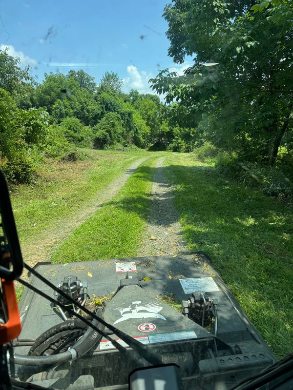 Land Clearing