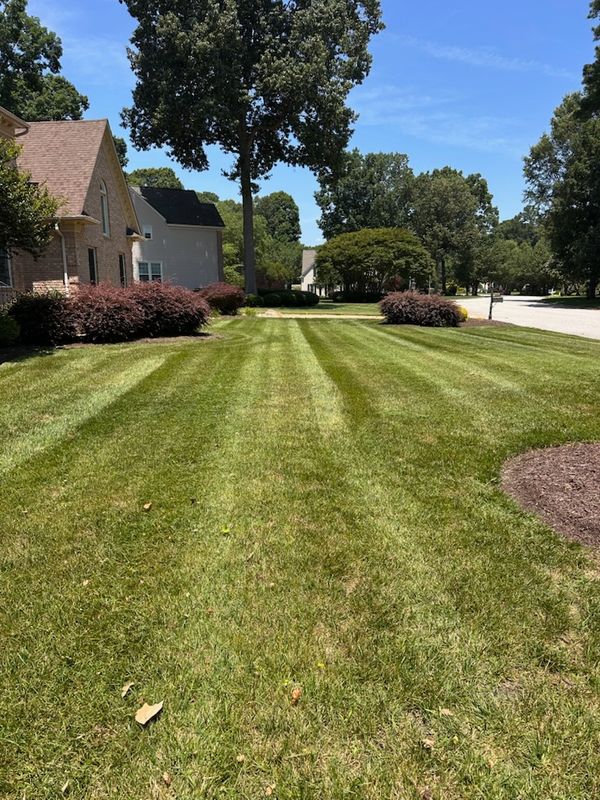 Landscaping