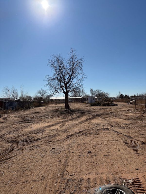 Land Clearing