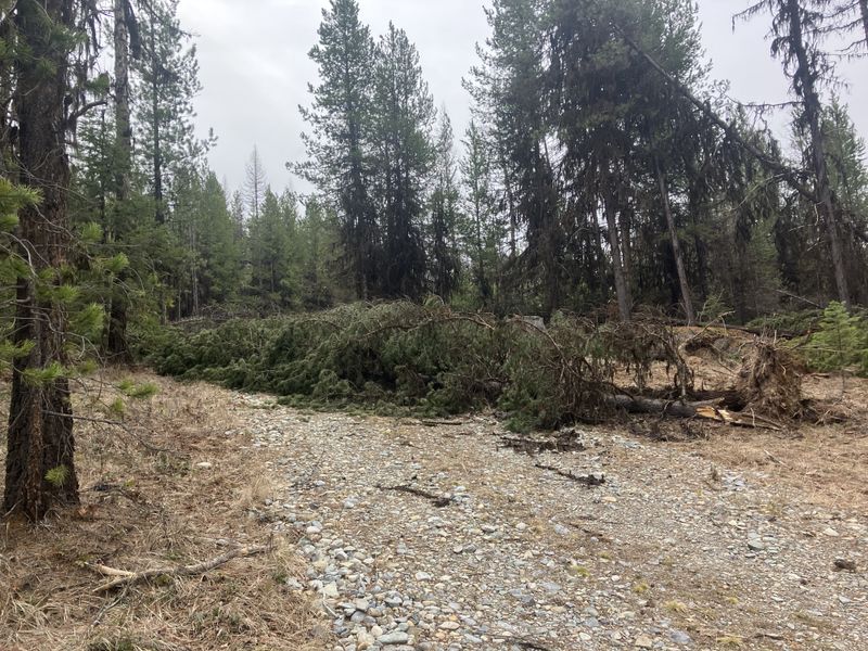 Land Clearing