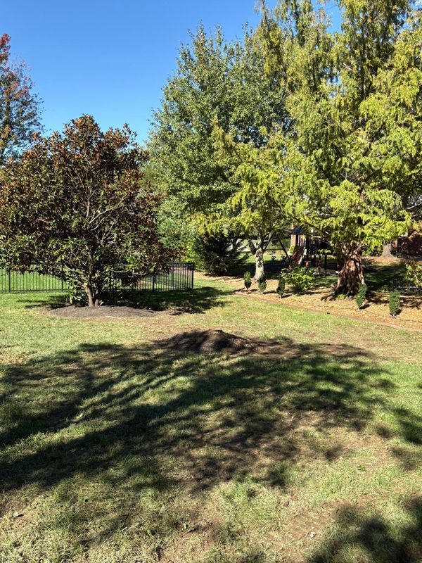 Fall Clean Up