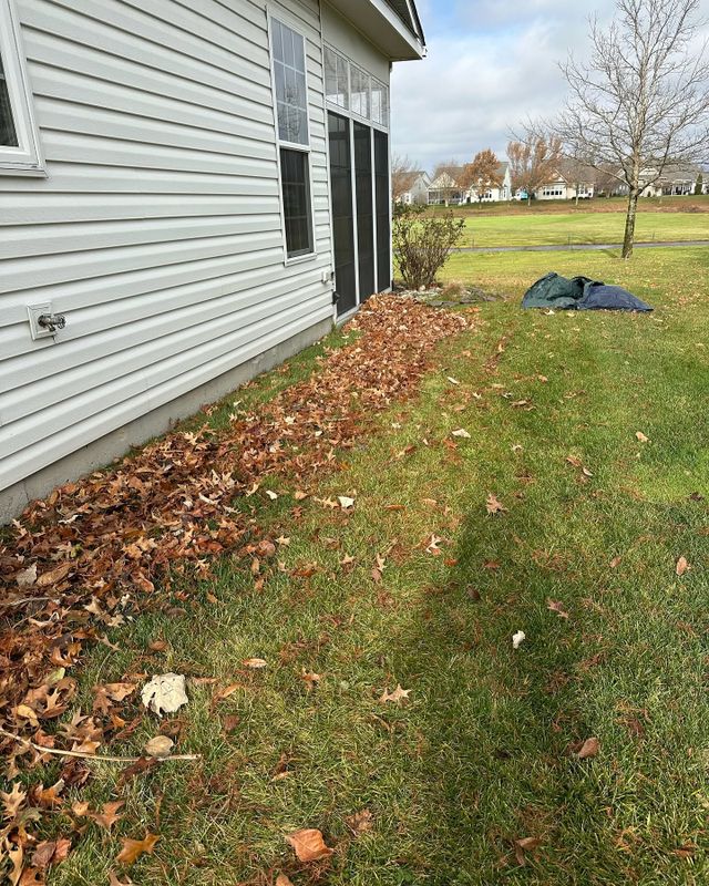 Fall and Spring Clean Up