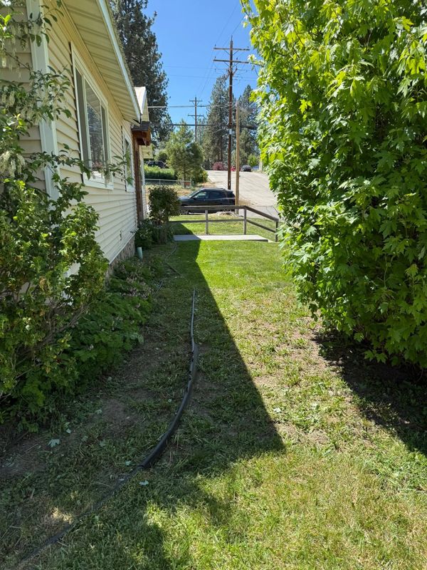 Tree Limbing and Pruning Services