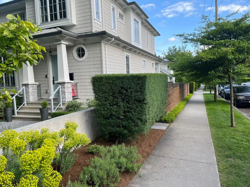 Tree, Hedge & Shrub Trimming
