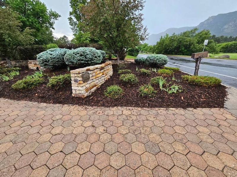Garden Designs