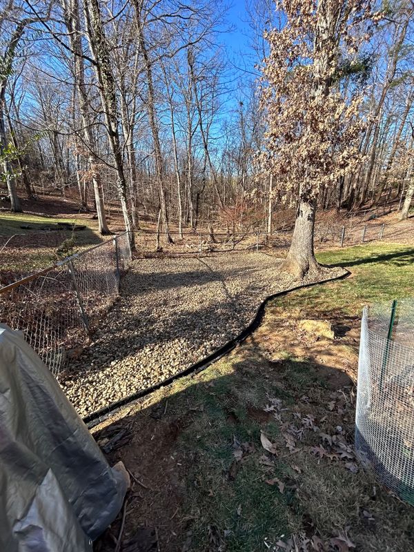 Leaf Removal