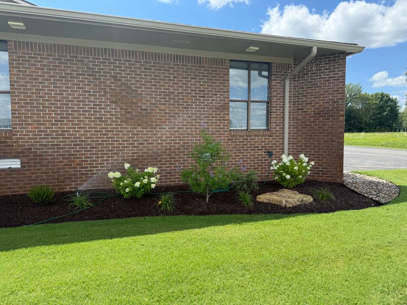 Plant & Shrub Installations