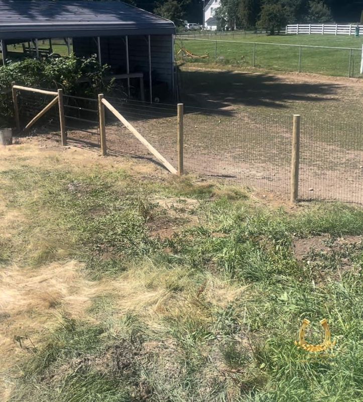 Fencing