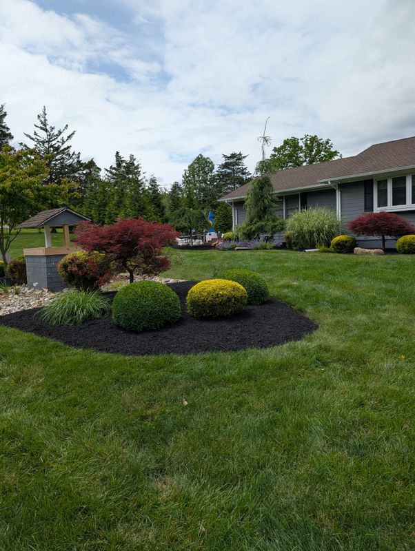 Privacy Plantings