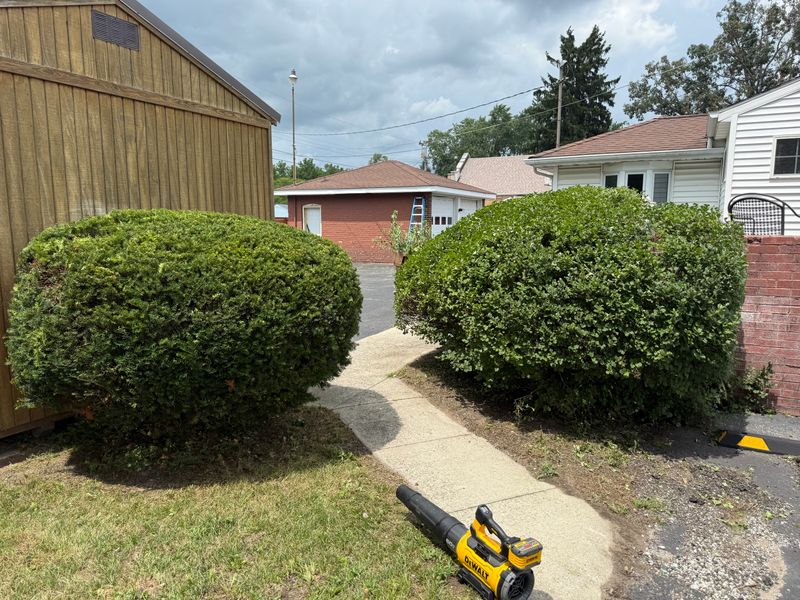 Bush Trimming