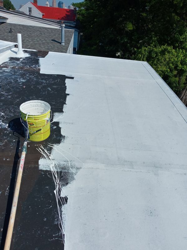 Silicon roof coating