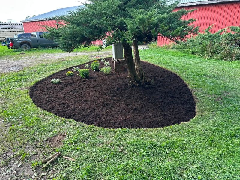Shrub Trimming