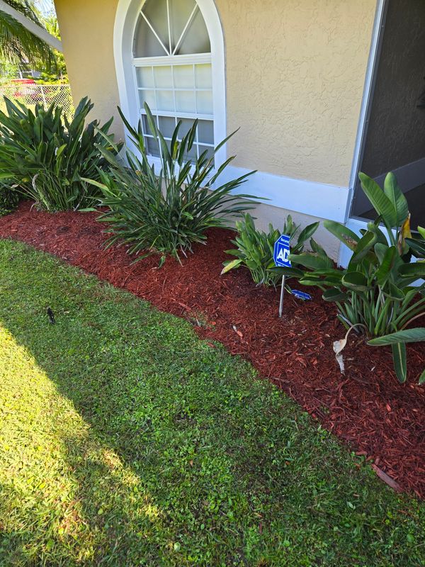 Lawn Care & Maintenance