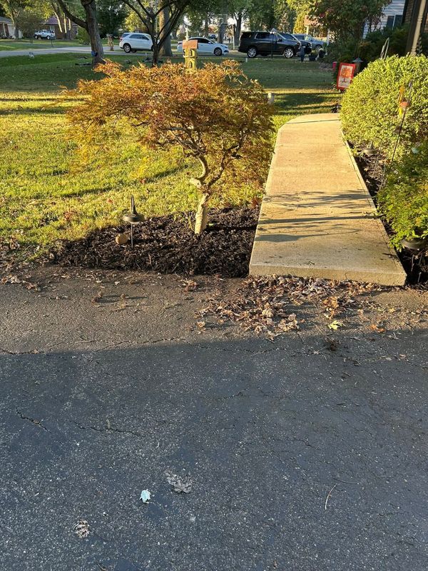 Garden Care and Planting