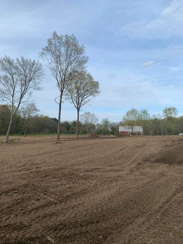Land Clearing