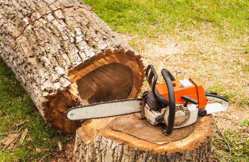 Tree Removal