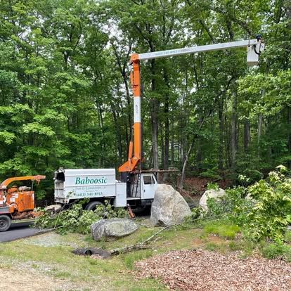 Pruning Services