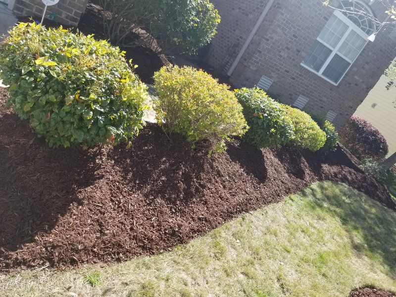 Landscaping