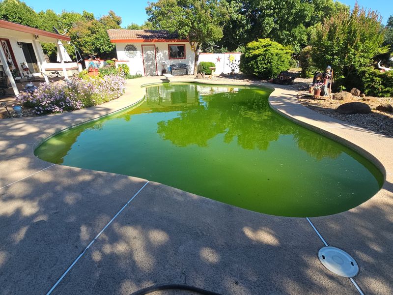 Green Pool Cleanups