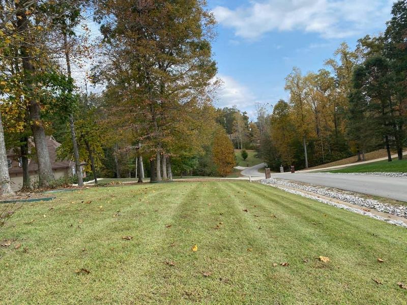 Landscaping