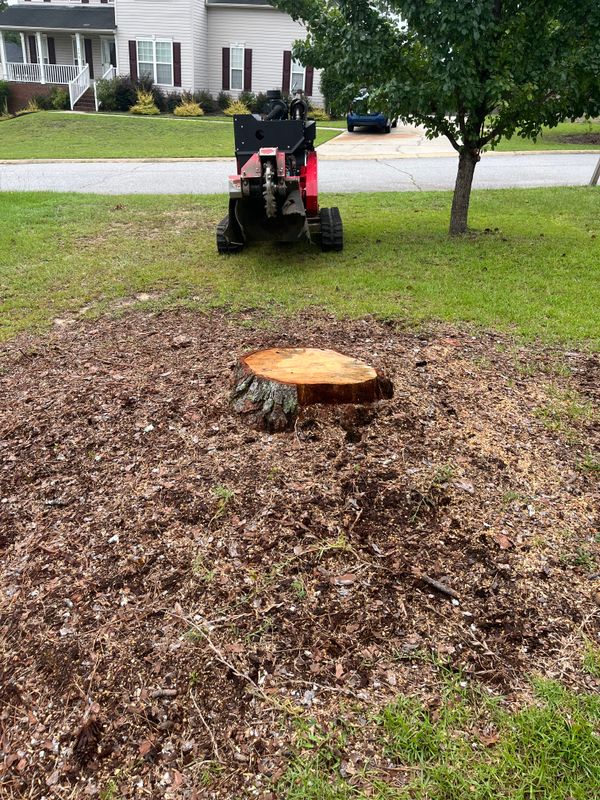 Stump Removal