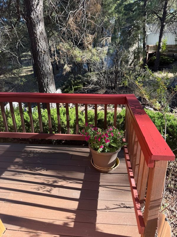 Deck and Fence Staining