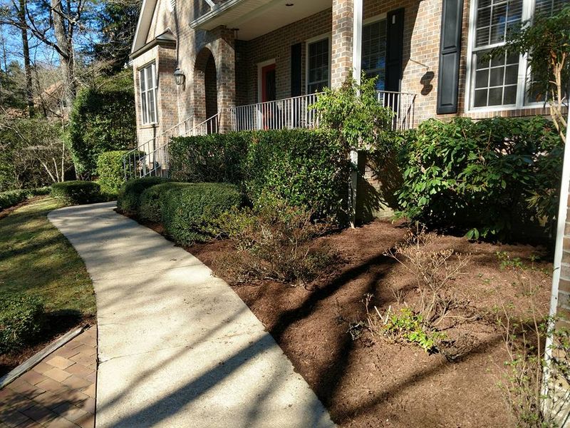 Shrub Trimming