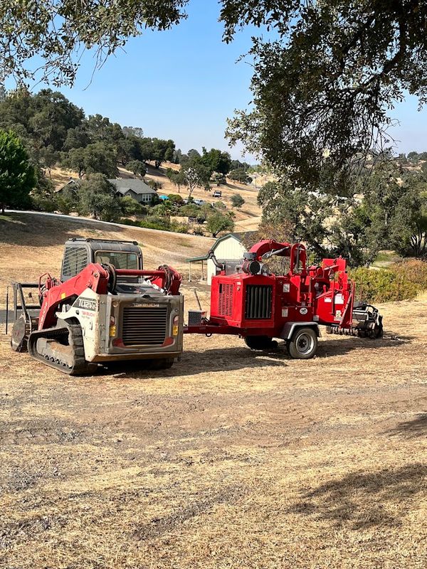 Tree and Vegetation Removal