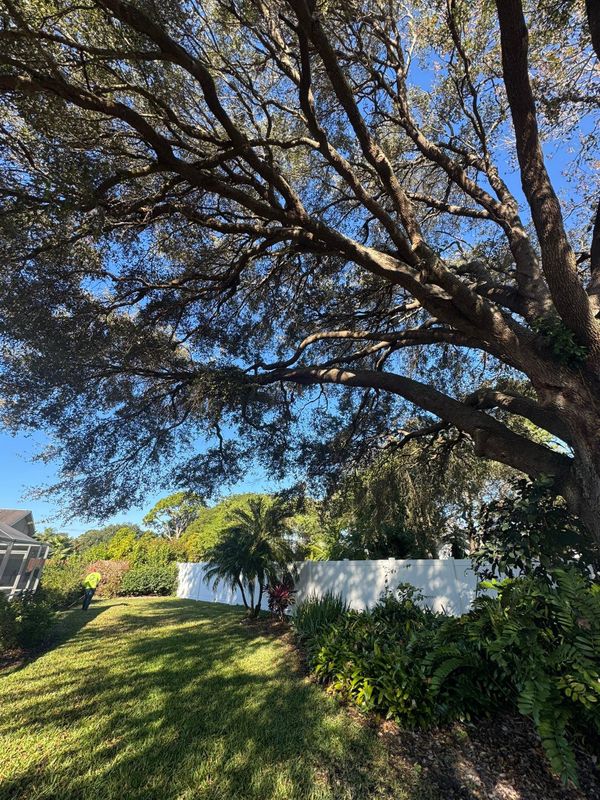 Lawn & Garden Services