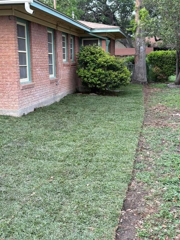Sod & Seed installs