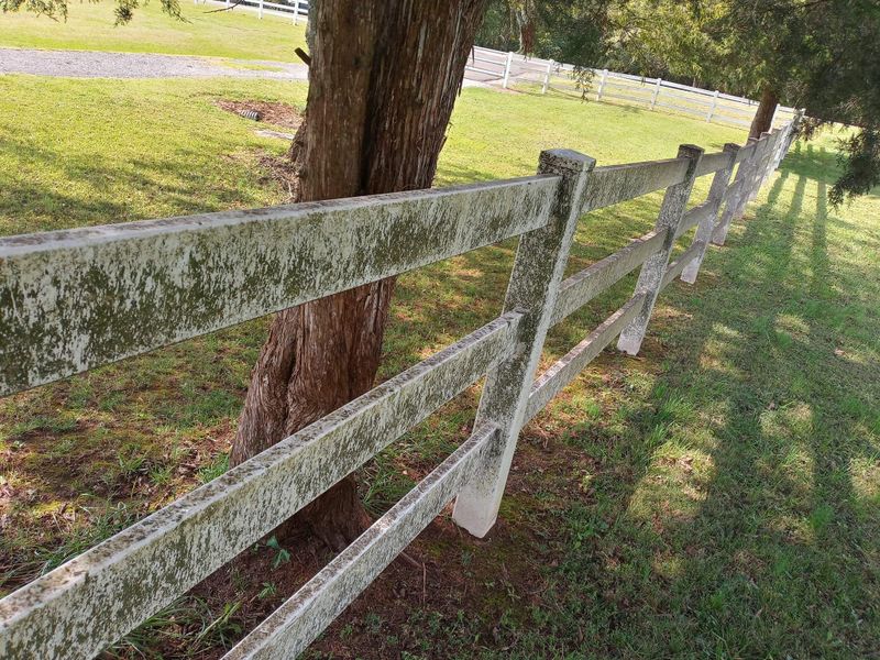 Pressure Washing gallery