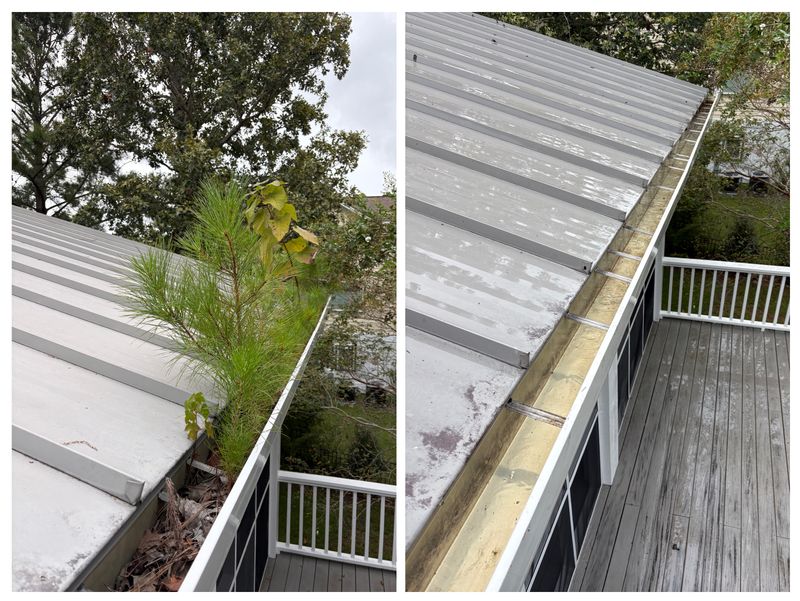 Gutter Cleaning
