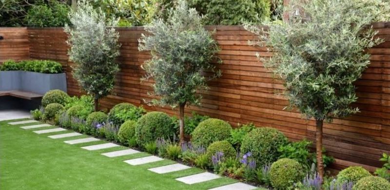 Landscape Design & Installation