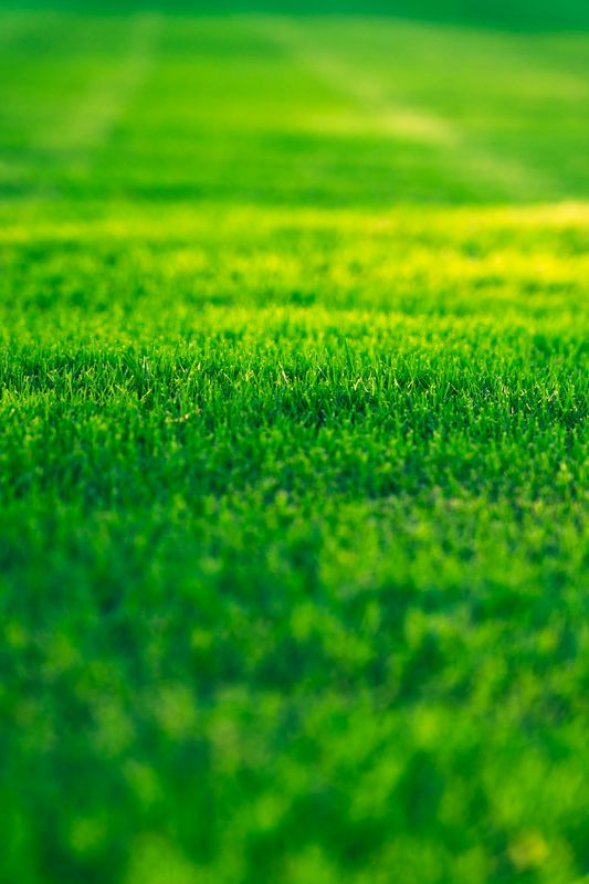 Lawn Mowing