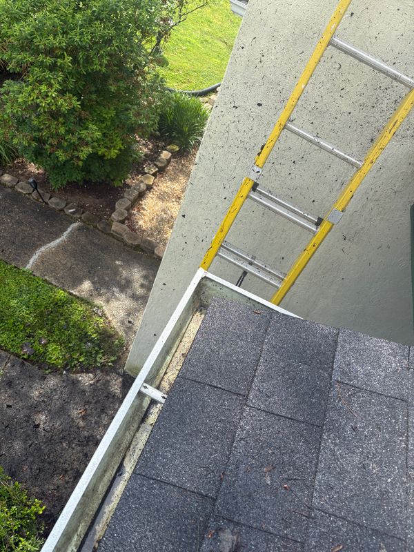 Gutter cleaning/ powerwashing/ soft washing