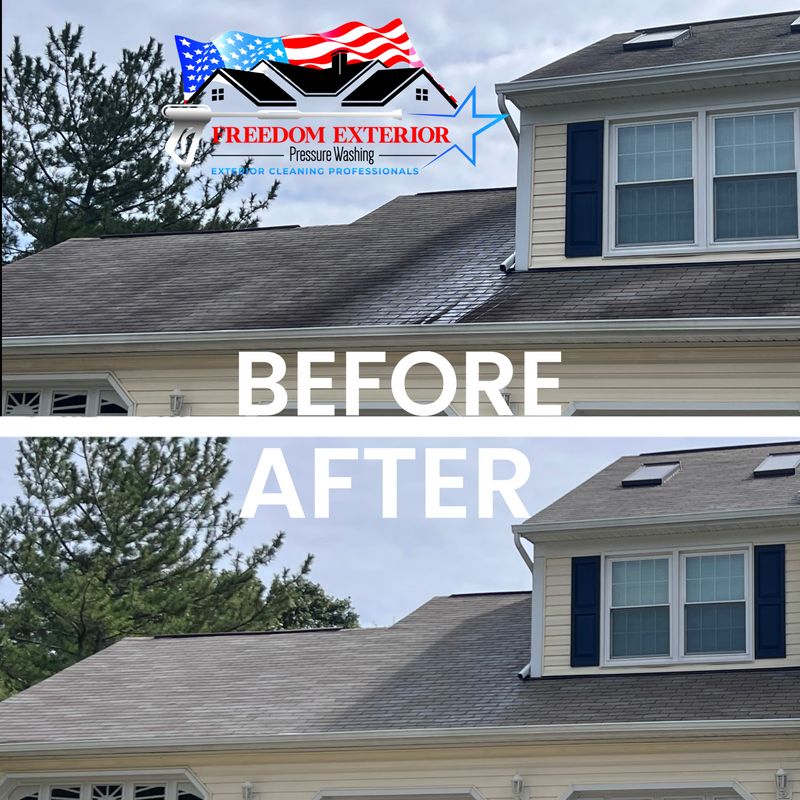 Roof Cleaning
