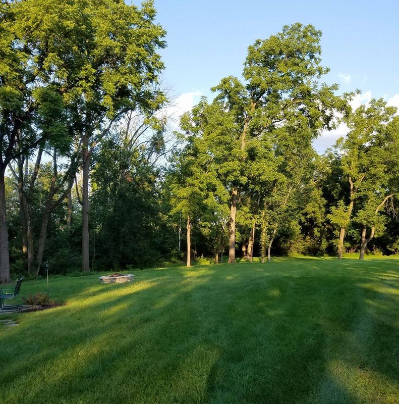 Tree Removal