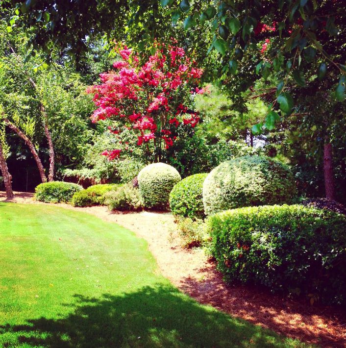 Mulch Bed Installation And Renovation