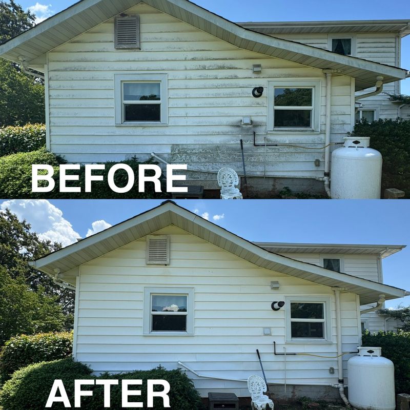 Pressure Washing 