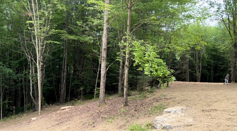 Land Clearing & Demolition