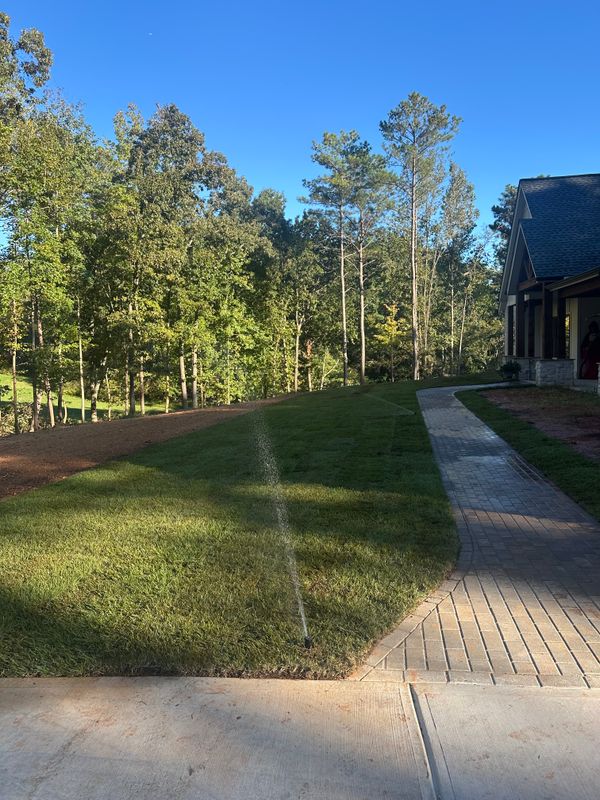 Landscape Design and Installation