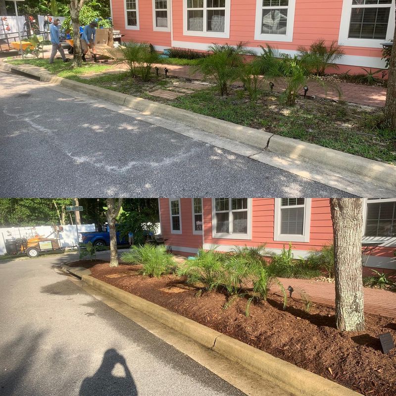 Landscape & Property Cleanup