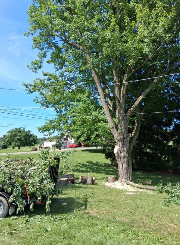 Landscaping