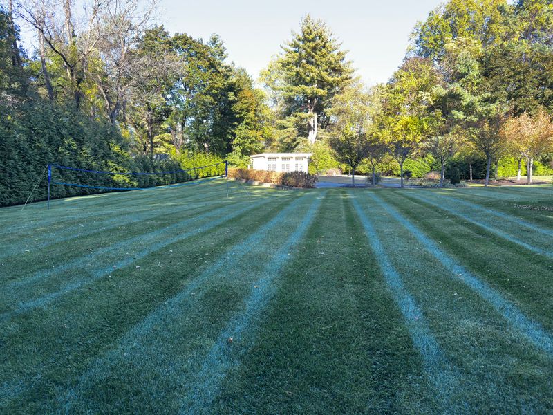 Mulch Installation