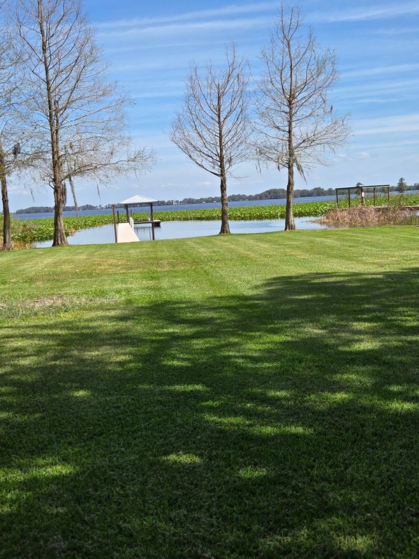 Lawn Care & Maintenance