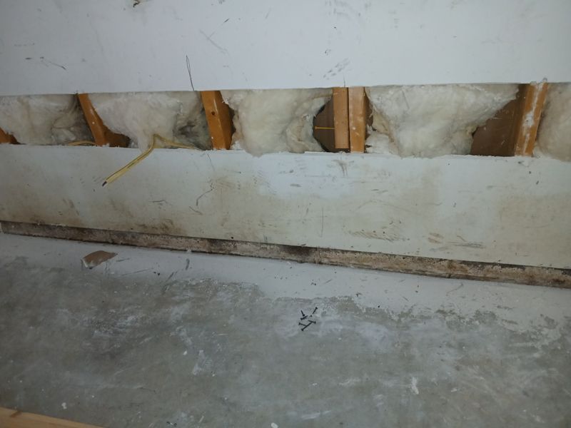Carterville Garage Conversion