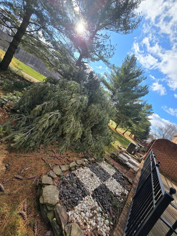 24/7 storm cleanup